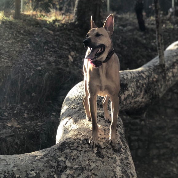 💋MEET YOUR SELLER 💋💋😘 - Picture 2 of 3